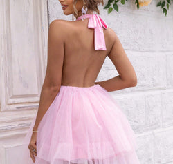 Halter Neck Backless Mesh Dress
