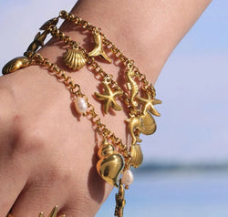 cd40c7fc-57a3-4d76-9f8c-d3085a9aa8f7-Max-Origin