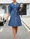 Button Down Long Sleeve Denim Dress