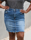 RISEN Amelia Full Size Denim Mini Skirt