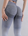 Gradient High Waist Sports Leggings