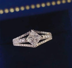 48a00fc71822479792736773419d4782-Max