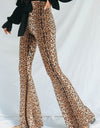 Leopard Print Flare Leg Pants