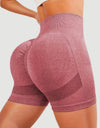 High Waist Active Shorts