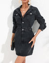 Buttoned Collared Neck Denim Mini Dress