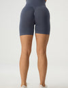 High Waist Wide Waistband Active Shorts