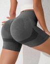 High Waist Active Shorts