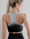 Gradient Sports Bra and Leggings Set