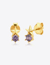 Zircon Star Stud Earrings