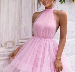 Halter Neck Backless Mesh Dress