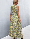 Printed Sleeveless Tie Waist Maxi Dress