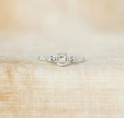 bf52da97-eae6-415d-9d9c-2f6512d6395b-Max