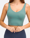 Deep V-Neck Crop Sports Bra