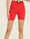 Seamless High-Rise Wide Waistband Biker Shorts