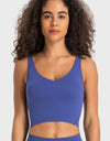 Deep V-Neck Crop Sports Bra