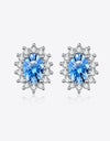 1 Carat Moissanite 925 Sterling Silver Stud Earrings