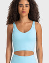 Deep V-Neck Crop Sports Bra