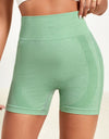 Wide Waistband Slim Fit Active Shorts