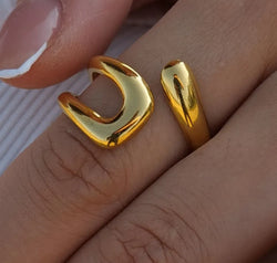 f5c49329-ece5-4b5b-a10d-4b442bd0bdd3-Max-Origin