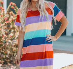 Women Color Block Side Slit Mini Dress