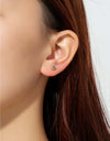 925 Sterling Silver Inlaid Zircon Stud Earrings