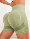 High Waist Active Shorts